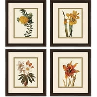 Slike cvjetni botanički cvjetovi uramljeni umjetnički otisci, set od 4