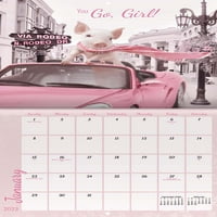 Trendovi Međunarodni Savršeno Pink Zidni Kalendar & Pushpins