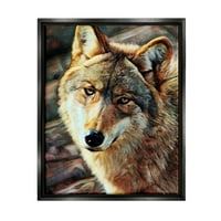 Stupell Wolf gazing divljim životinjama životinjski portretni životinje i insekti slikajući crni potamnjeni framrana umjetnost