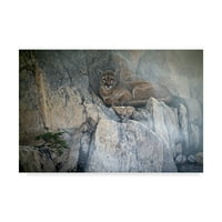 Zaštitni znak likovne umjetnosti' planinske magle Cougar ' platnena Umjetnost Rona Parkera