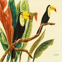 Tropske toucance II poster Print LINDA BALIKO