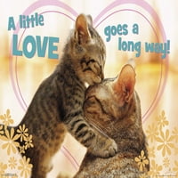 Avanti - Kitten poljubi zidni poster, 22.375 34