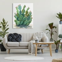 Stupell Botanički pustinjski pustinjski kruški kaktus Botanical i cvjetna slikarska galerija zamotana platna Print Wall Art
