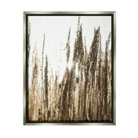 Stupell Industries svjetlosni zrak iako pšenica polje fotografija sjaj siva plutajuća uokvirena platna Print zid Art, dizajn Susan Ball