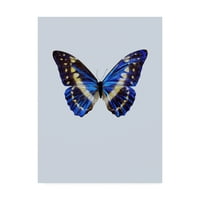 Zaštitni znak likovne umjetnosti 'Plavi leptir studij' platno umjetnost inkado