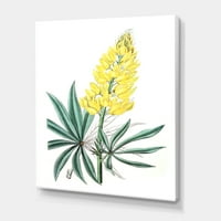 Designart 'Drevni Žuti Cvijet I' Tradicionalni Platneni Zidni Umjetnički Print